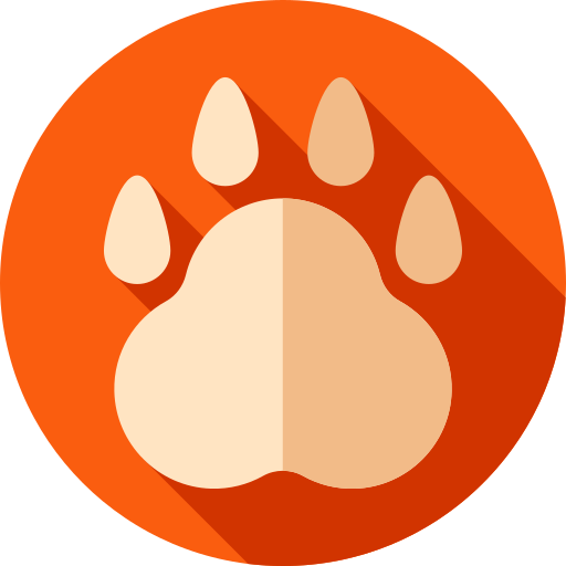 Tibetaanse-Terriers.nl – De wereld van dierenliefhebbers